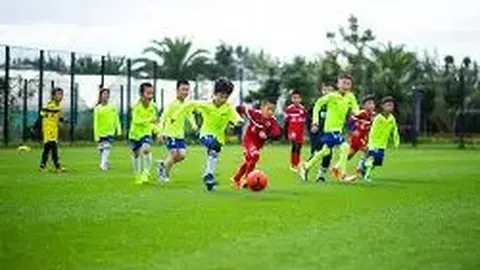 皇冠体育 资讯 084832 owv